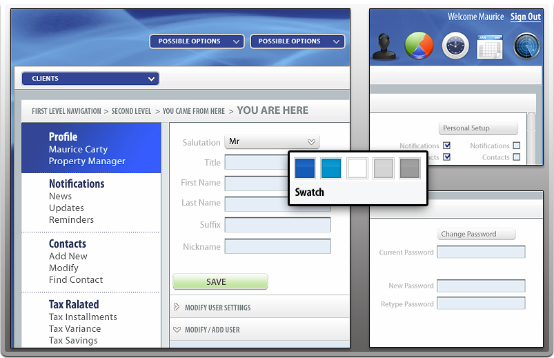 interface design